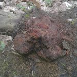 Новости Самолва - Ледовое Побоище