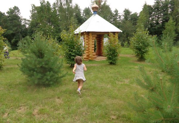 Часовня Александра Невского на Гдовской земле