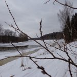 Новости Самолвы: встреча со школьниками в Чернево